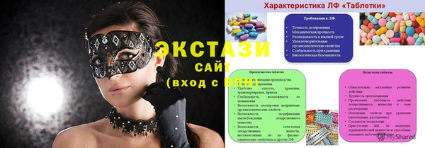 индика Медногорск