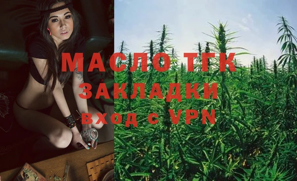индика Медногорск