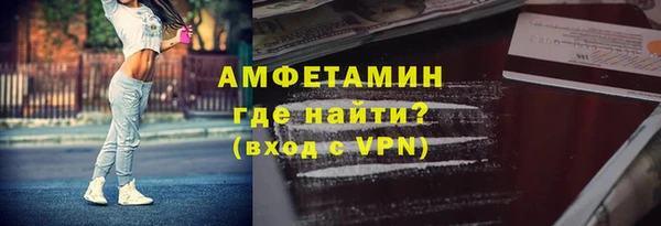 индика Медногорск
