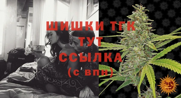индика Медногорск