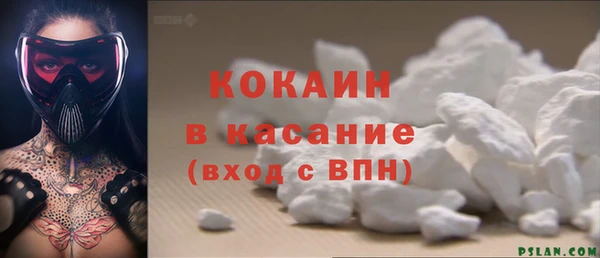 индика Медногорск