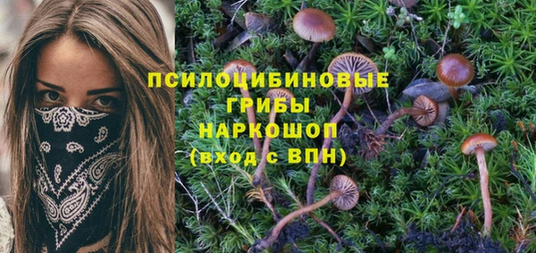 индика Медногорск