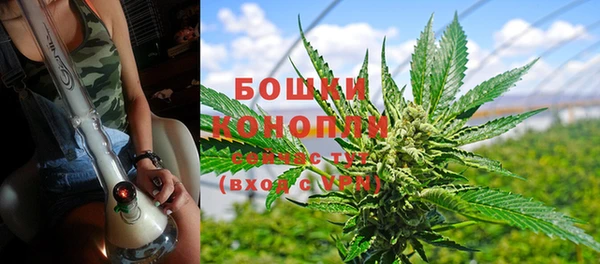 индика Медногорск
