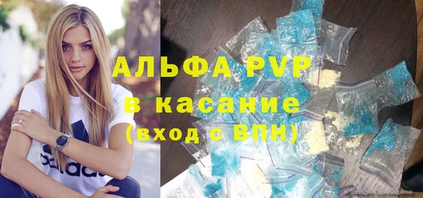 индика Медногорск