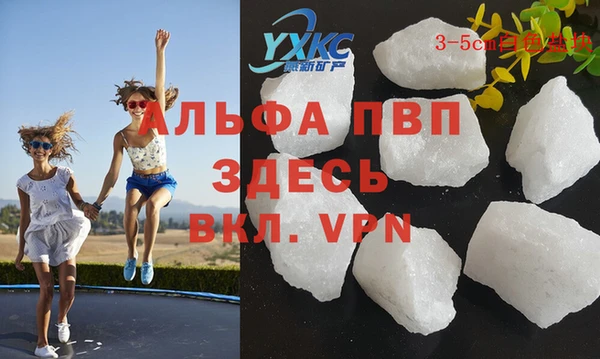 индика Медногорск