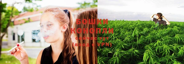 индика Медногорск