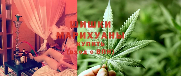 индика Медногорск