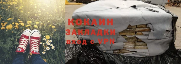 индика Медногорск