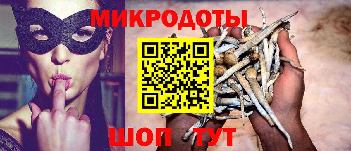 Галлюциногенные грибы Psilocybe  Псилоцибиновые грибы Psilocybe  Сосновоборск  Вход с VPN 